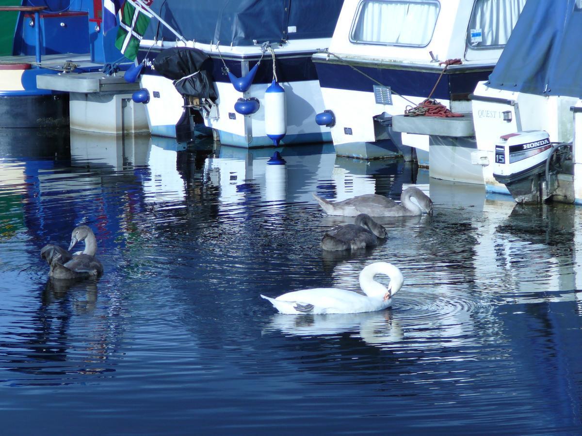 Отель The Boat House Kilsyth Экстерьер фото